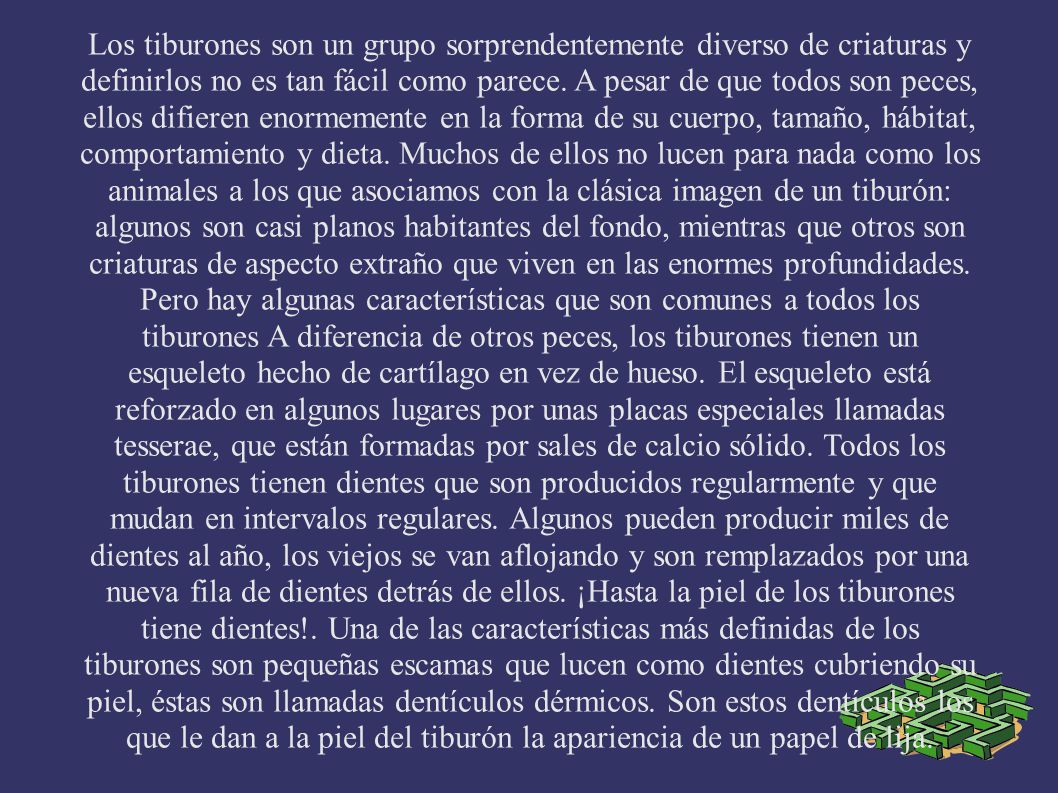 Los tiburones son un grupo sorprendentemente diverso de criaturas y definirlos no es tan fácil como parece.