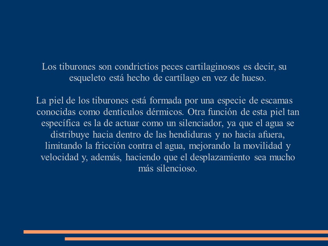 Los tiburones son condrictios peces cartilaginosos es decir, su esqueleto está hecho de cartílago en vez de hueso.