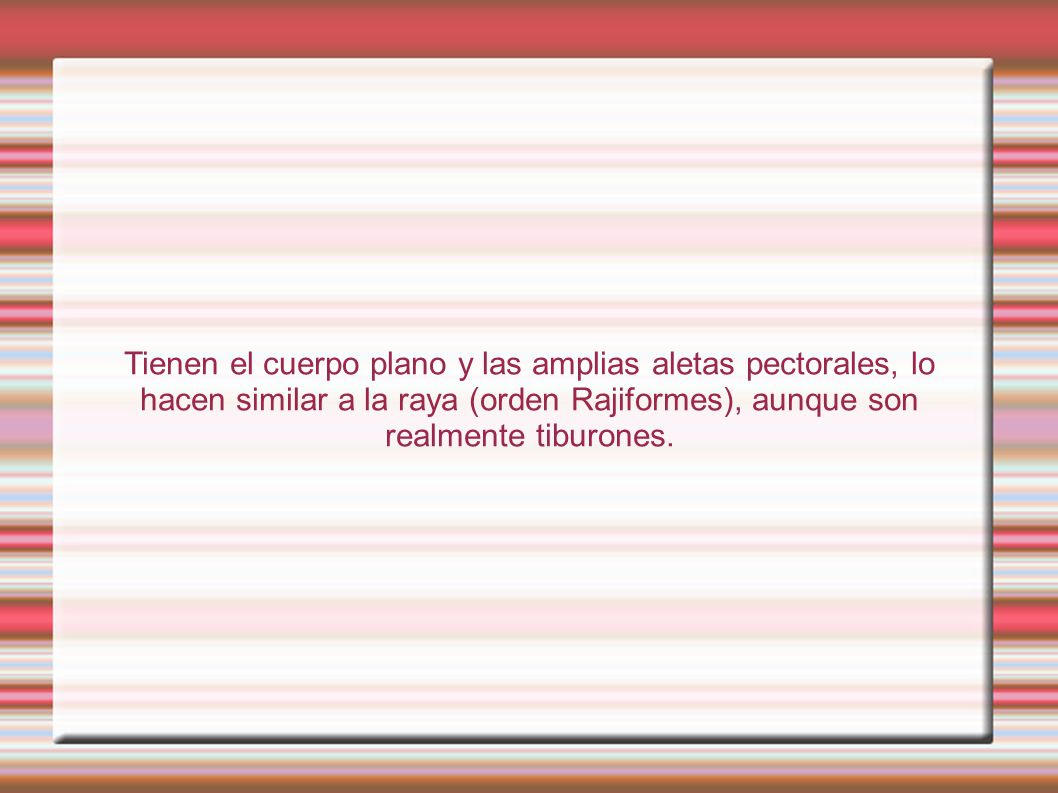 Tienen el cuerpo plano y las amplias aletas pectorales, lo hacen similar a la raya (orden Rajiformes), aunque son realmente tiburones.