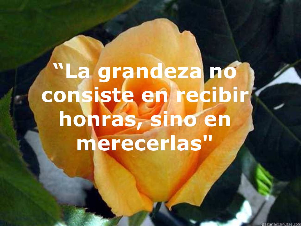 La grandeza no consiste en recibir honras, sino en merecerlas