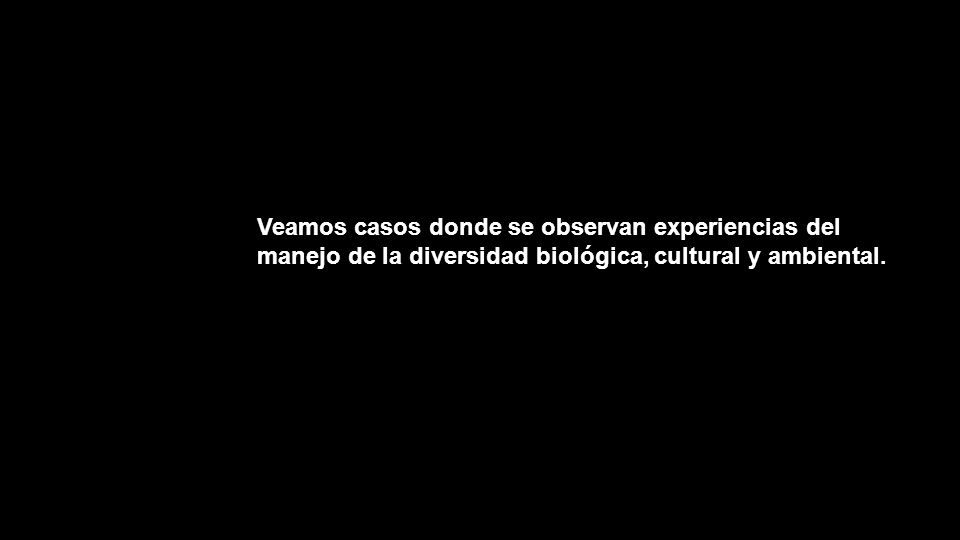 Veamos casos donde se observan experiencias del manejo de la diversidad biológica, cultural y ambiental.