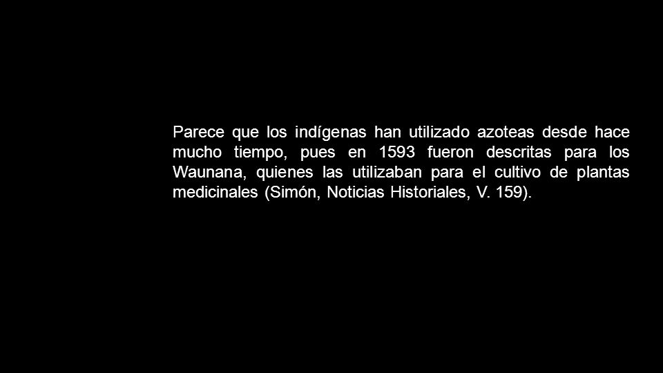 Parece que los indígenas han utilizado azoteas desde hace mucho tiempo, pues en 1593 fueron descritas para los Waunana, quienes las utilizaban para el cultivo de plantas medicinales (Simón, Noticias Historiales, V. 159).