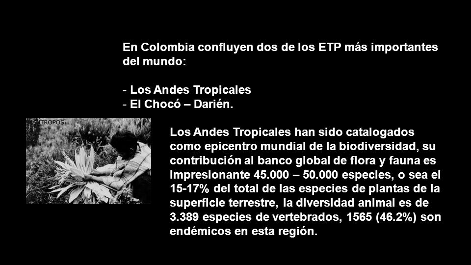 En Colombia confluyen dos de los ETP más importantes del mundo: