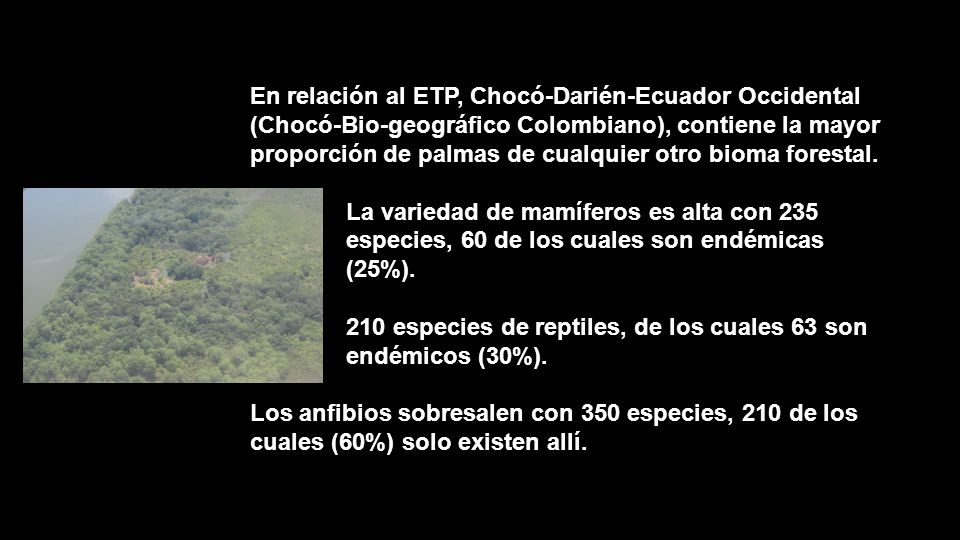 210 especies de reptiles, de los cuales 63 son endémicos (30%).