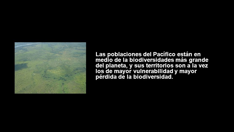 Las poblaciones del Pacífico están en medio de la biodiversidades más grande del planeta, y sus territorios son a la vez los de mayor vulnerabilidad y mayor pérdida de la biodiversidad.