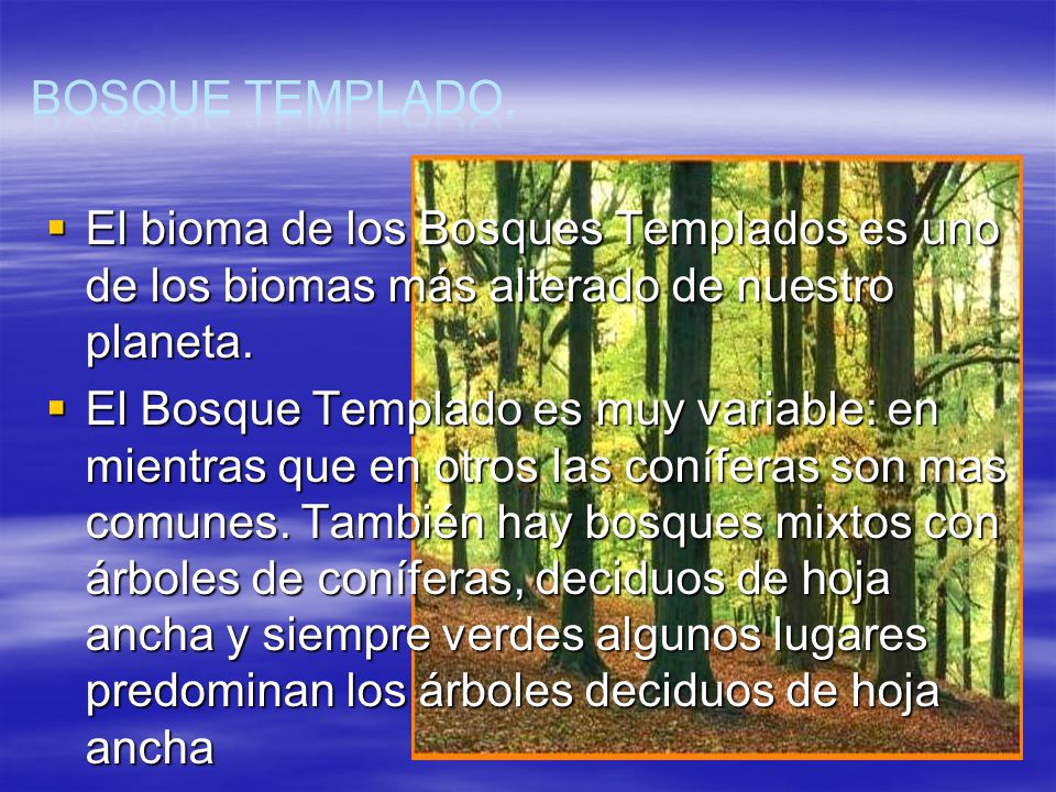 Bosque Templado. El bioma de los Bosques Templados es uno de los biomas más alterado de nuestro planeta.