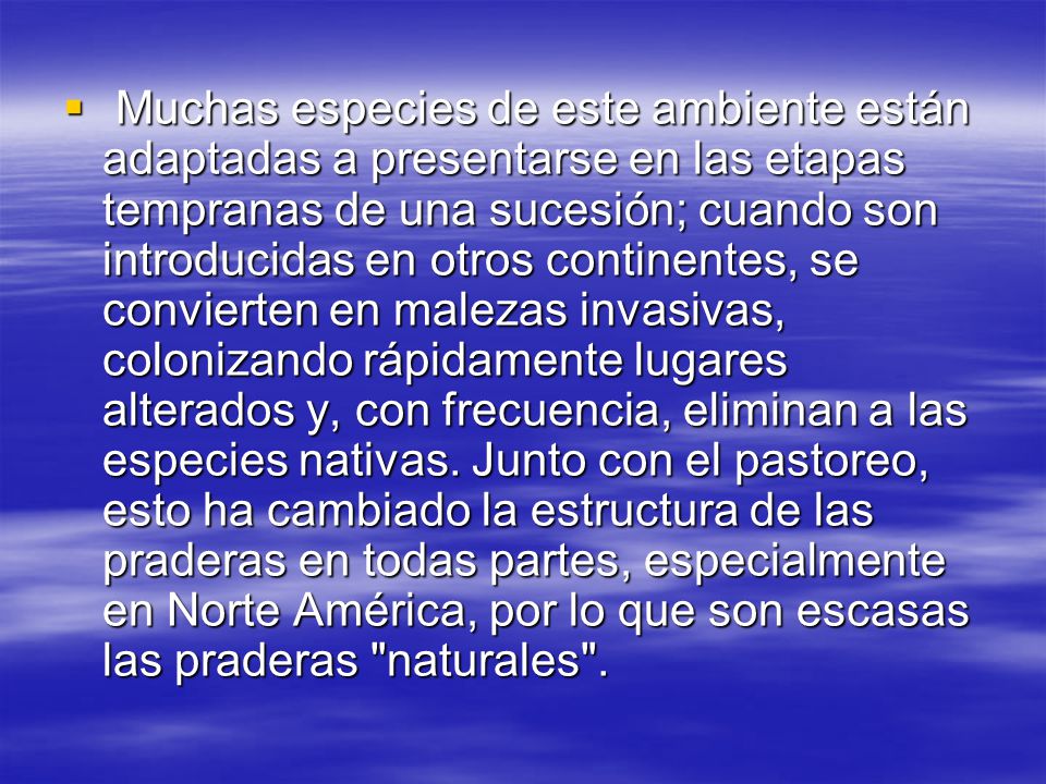Muchas especies de este ambiente están adaptadas a presentarse en las etapas tempranas de una sucesión; cuando son introducidas en otros continentes, se convierten en malezas invasivas, colonizando rápidamente lugares alterados y, con frecuencia, eliminan a las especies nativas.