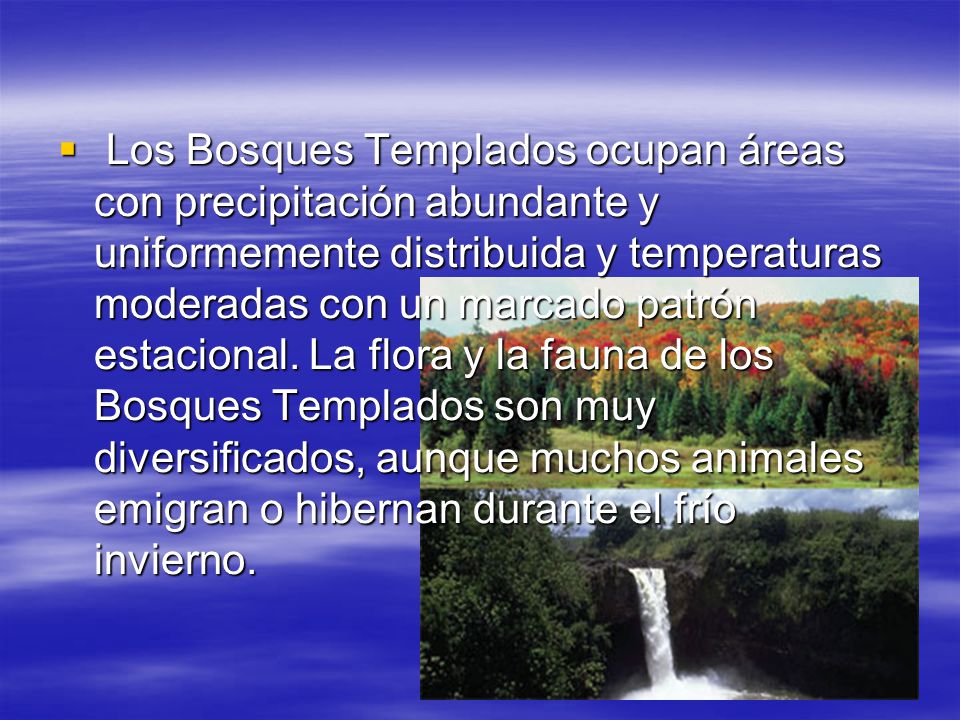 Los Bosques Templados ocupan áreas con precipitación abundante y uniformemente distribuida y temperaturas moderadas con un marcado patrón estacional.