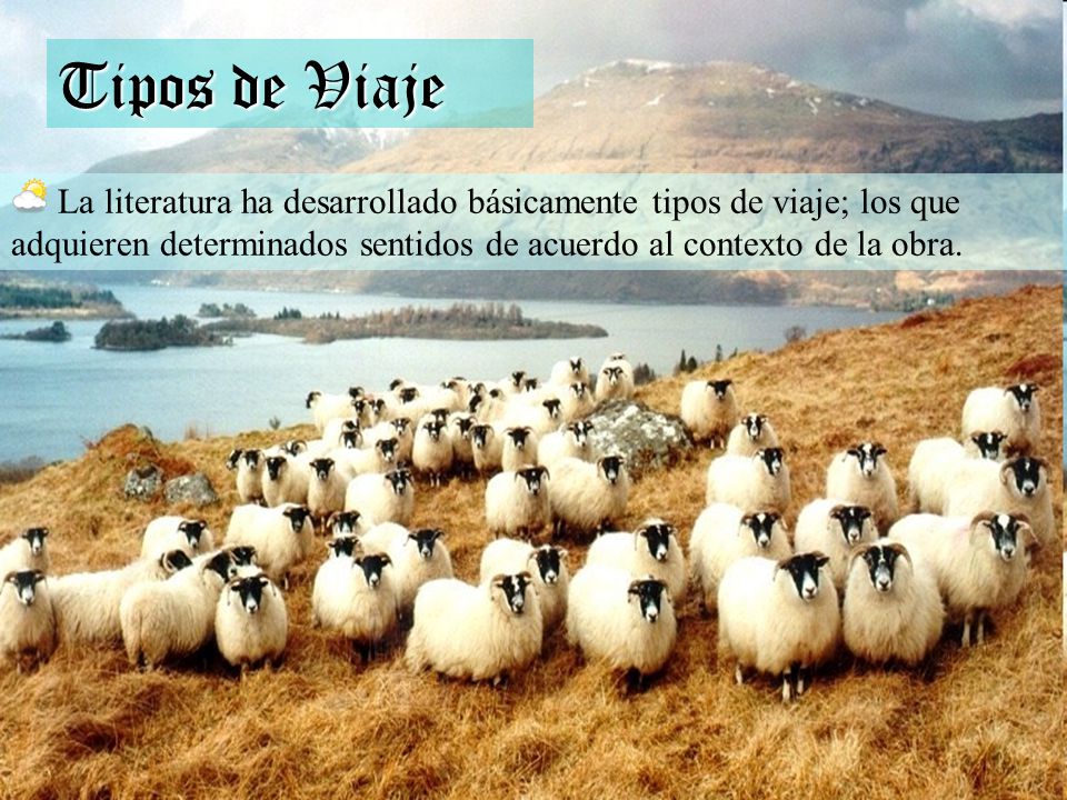 Tipos de Viaje La literatura ha desarrollado básicamente tipos de viaje; los que adquieren determinados sentidos de acuerdo al contexto de la obra.