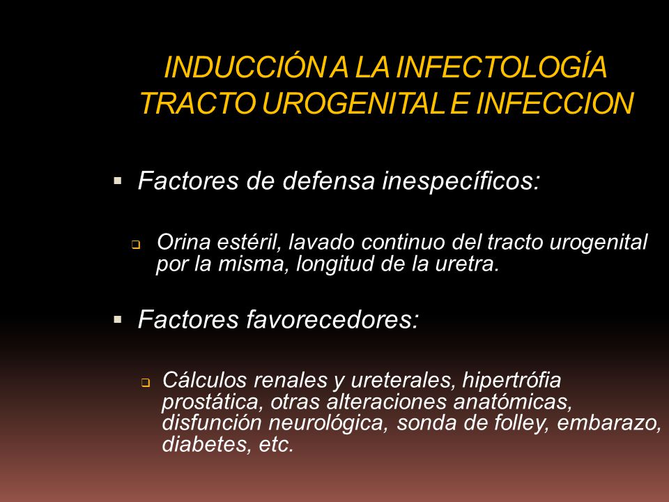 INDUCCIÓN A LA INFECTOLOGÍA TRACTO UROGENITAL E INFECCION