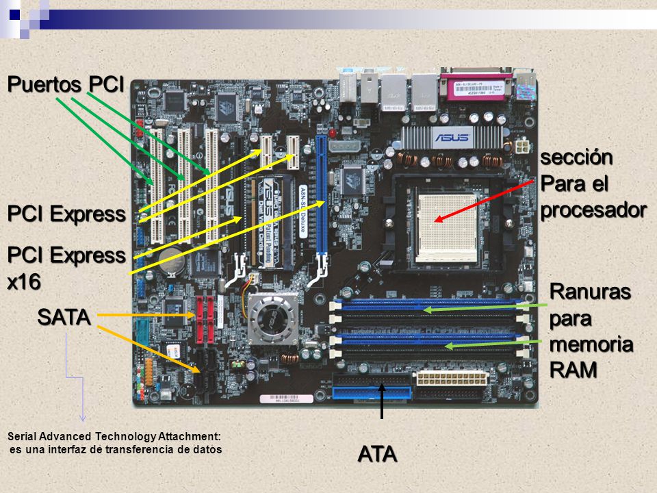 Puertos PCI sección Para el procesador PCI Express PCI Express x16
