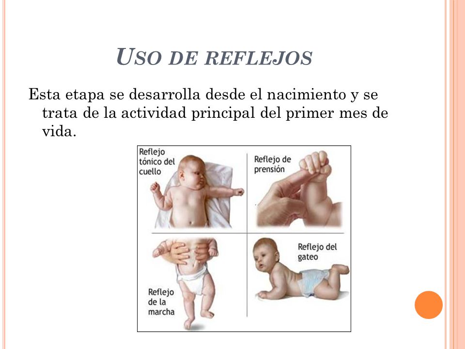 Uso de reflejos Esta etapa se desarrolla desde el nacimiento y se trata de la actividad principal del primer mes de vida.
