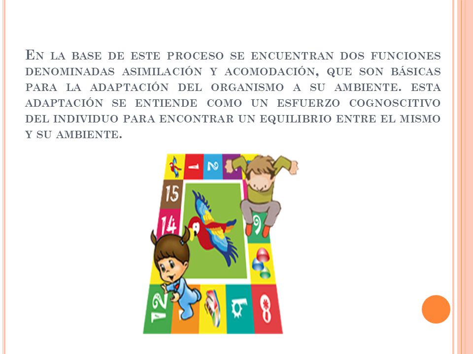 En la base de este proceso se encuentran dos funciones denominadas asimilación y acomodación, que son básicas para la adaptación del organismo a su ambiente.