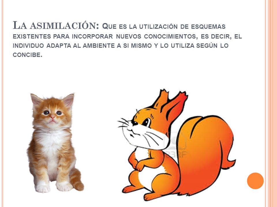La asimilación: Que es la utilización de esquemas existentes para incorporar nuevos conocimientos, es decir, el individuo adapta al ambiente a si mismo y lo utiliza según lo concibe.