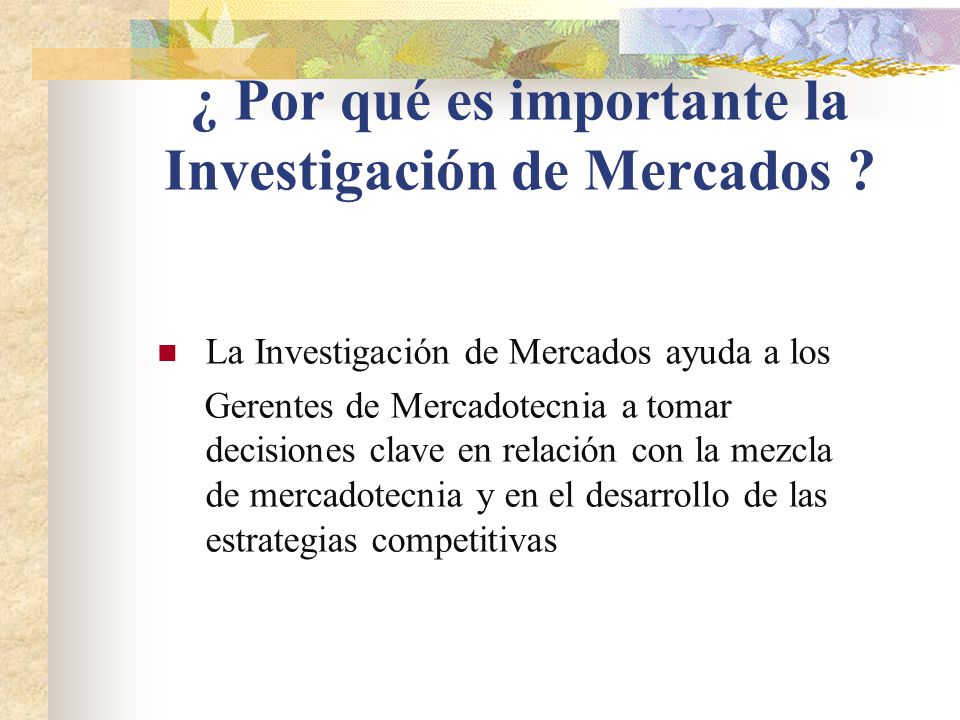 ¿ Por qué es importante la Investigación de Mercados