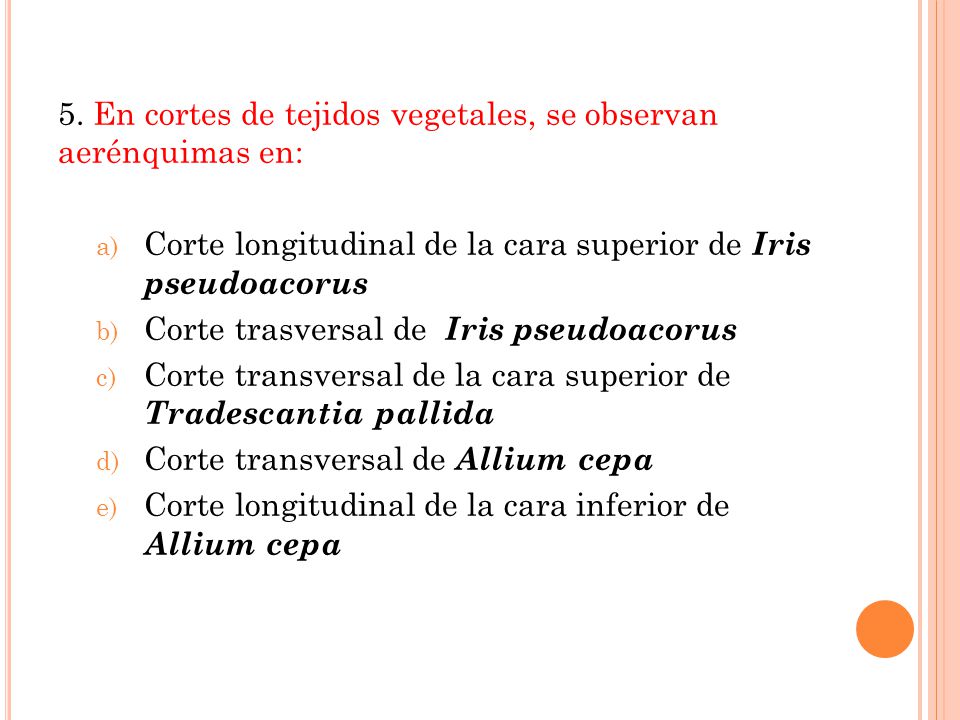 5. En cortes de tejidos vegetales, se observan aerénquimas en:
