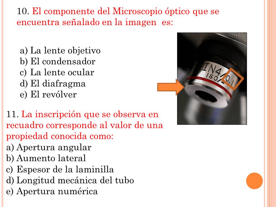 10. El componente del Microscopio óptico que se encuentra señalado en la imagen es:
