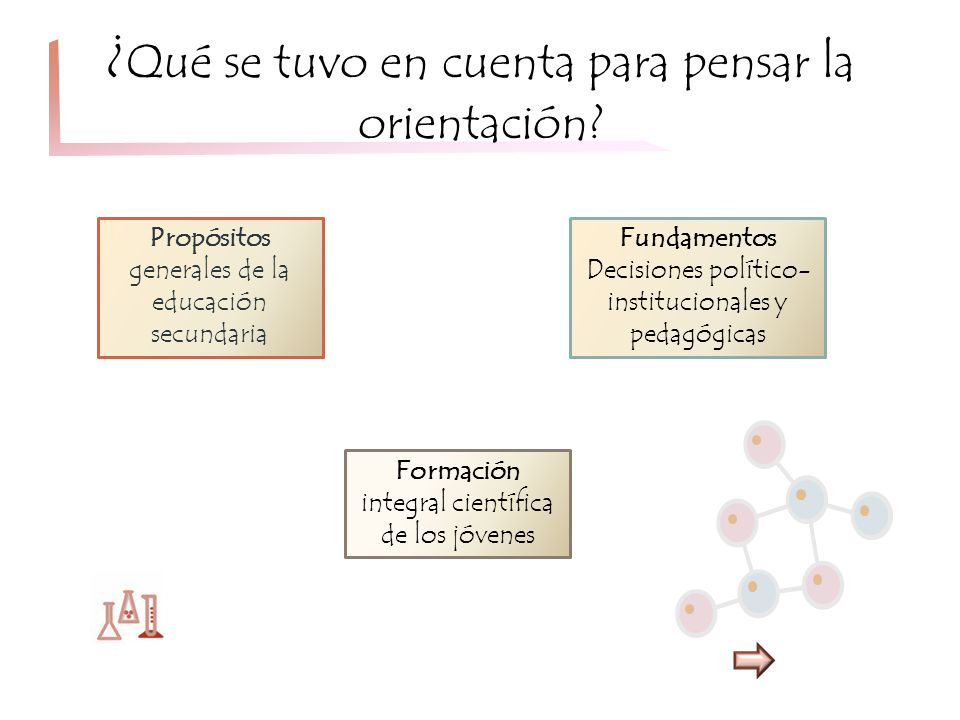 ¿Qué se tuvo en cuenta para pensar la orientación
