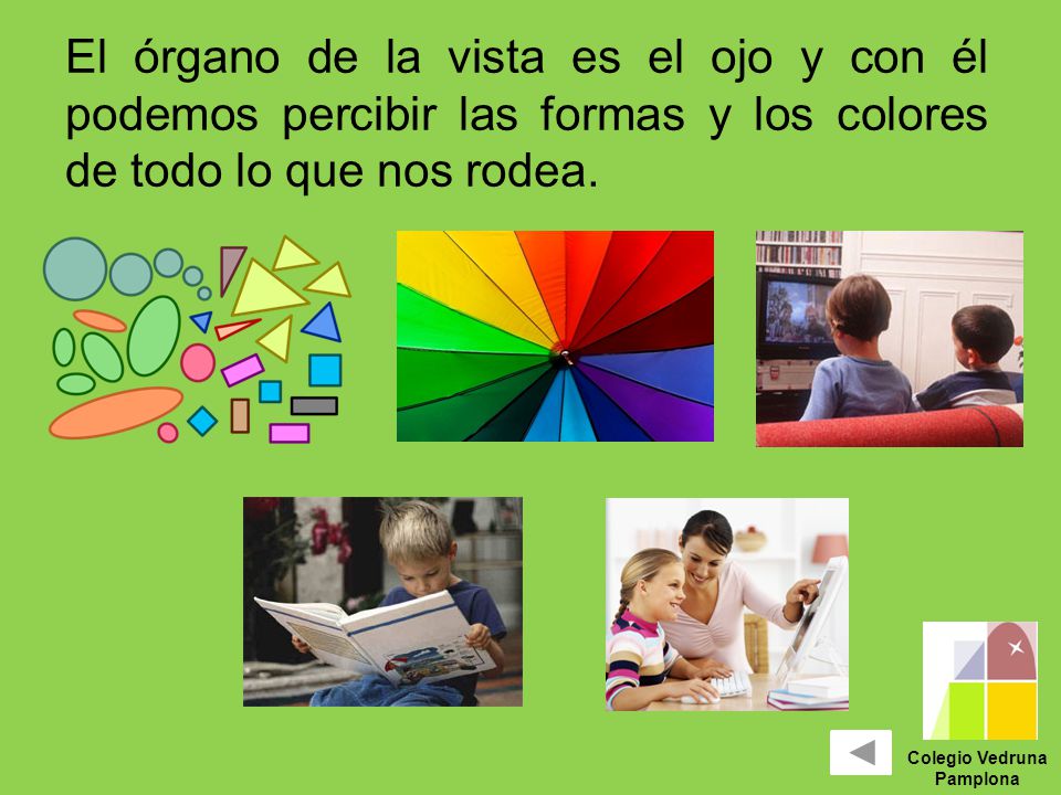El órgano de la vista es el ojo y con él podemos percibir las formas y los colores de todo lo que nos rodea.