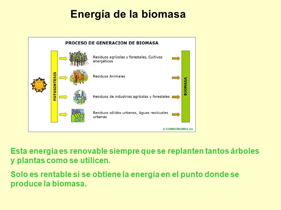 Energía de la biomasa Esta energía es renovable siempre que se replanten tantos árboles y plantas como se utilicen.