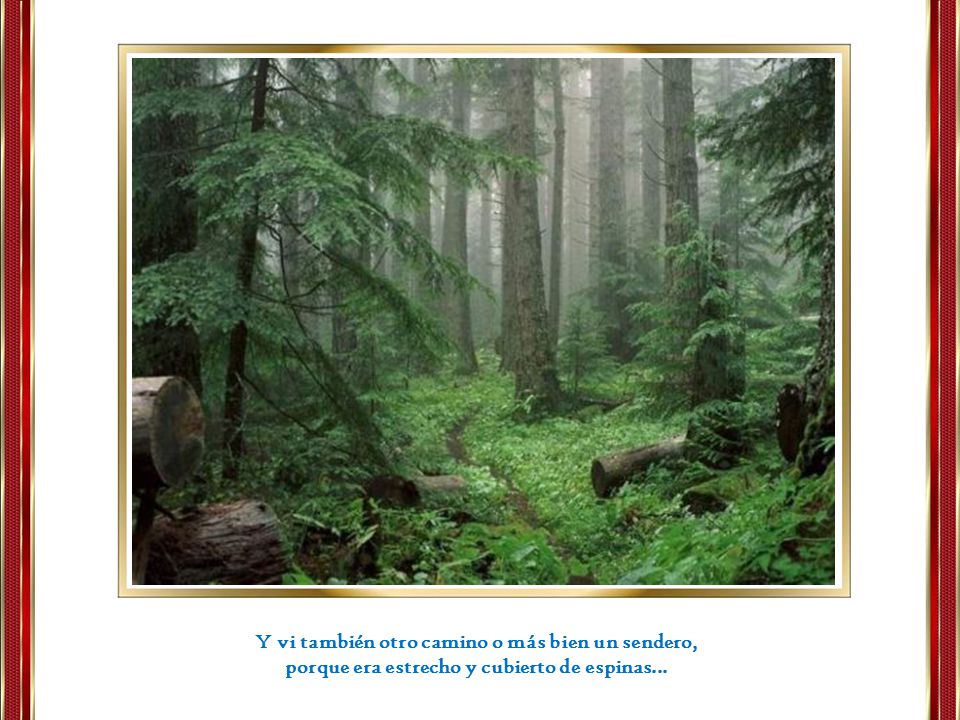 Y vi también otro camino o más bien un sendero,