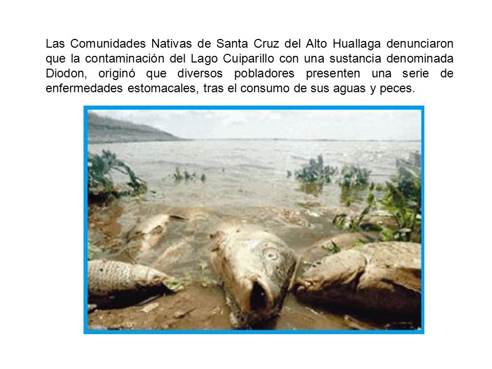 Las Comunidades Nativas de Santa Cruz del Alto Huallaga denunciaron que la contaminación del Lago Cuiparillo con una sustancia denominada Diodon, originó que diversos pobladores presenten una serie de enfermedades estomacales, tras el consumo de sus aguas y peces.