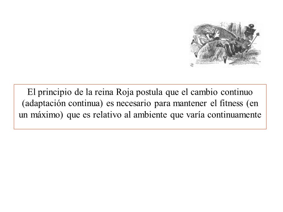 El principio de la reina Roja postula que el cambio continuo (adaptación continua) es necesario para mantener el fitness (en un máximo) que es relativo al ambiente que varía continuamente