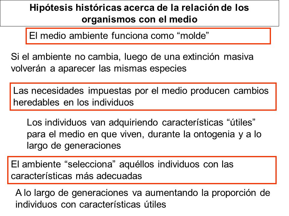 Hipótesis históricas acerca de la relación de los organismos con el medio
