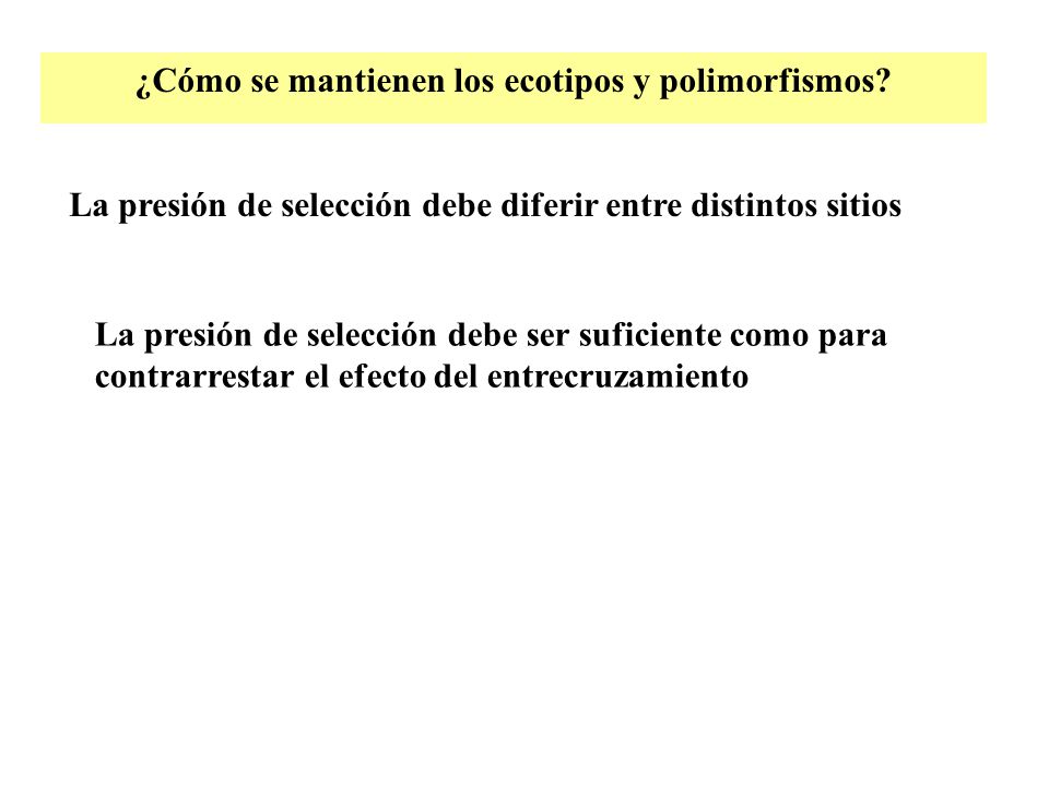 ¿Cómo se mantienen los ecotipos y polimorfismos