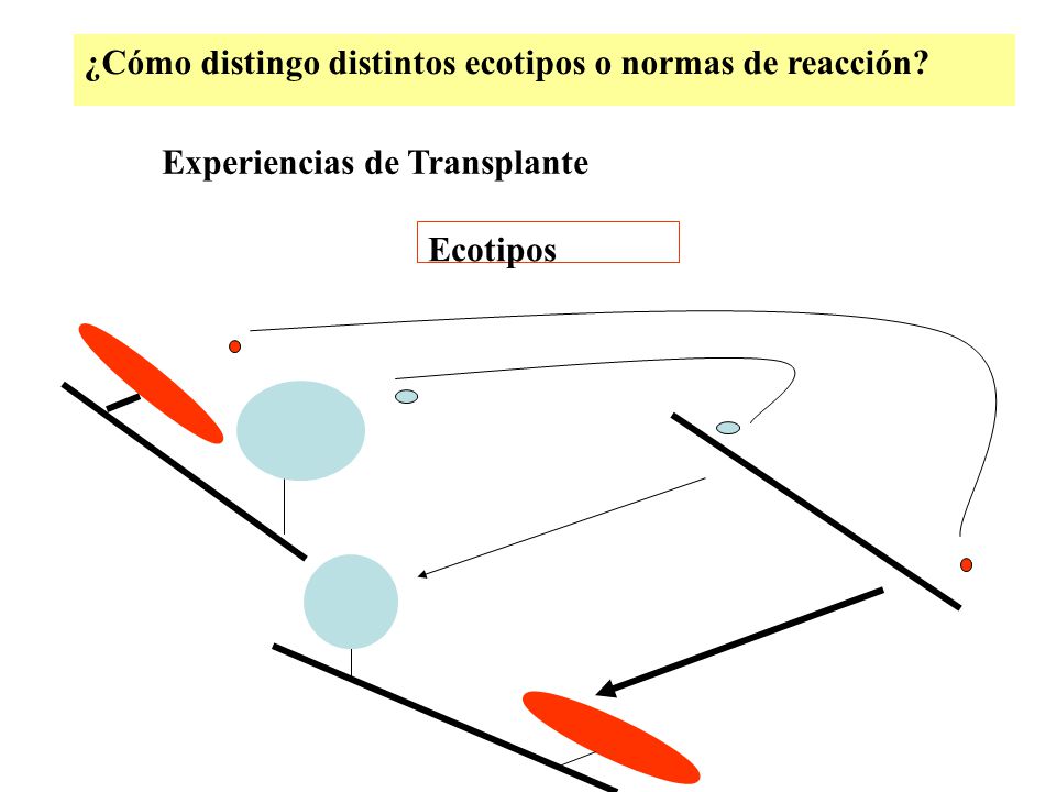 ¿Cómo distingo distintos ecotipos o normas de reacción