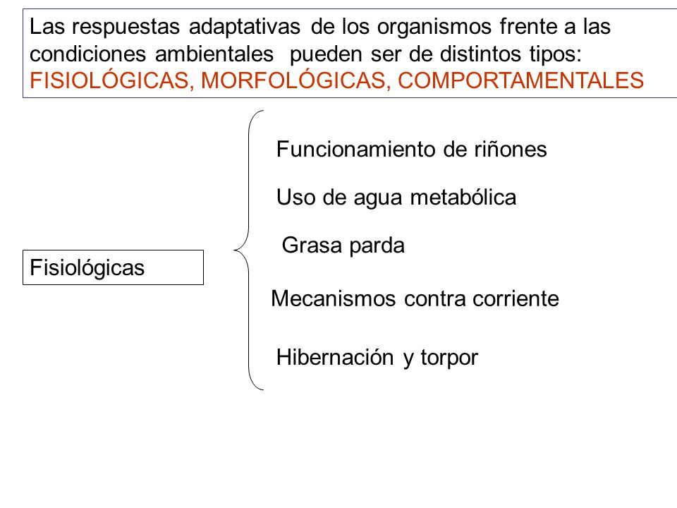 Las respuestas adaptativas de los organismos frente a las condiciones ambientales pueden ser de distintos tipos: FISIOLÓGICAS, MORFOLÓGICAS, COMPORTAMENTALES