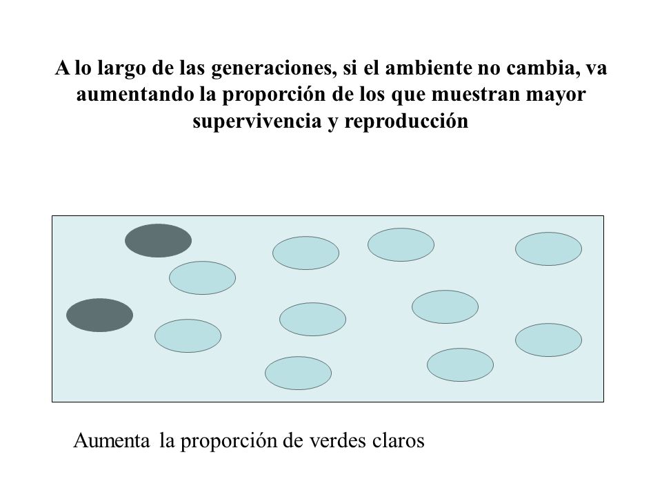 A lo largo de las generaciones, si el ambiente no cambia, va aumentando la proporción de los que muestran mayor supervivencia y reproducción
