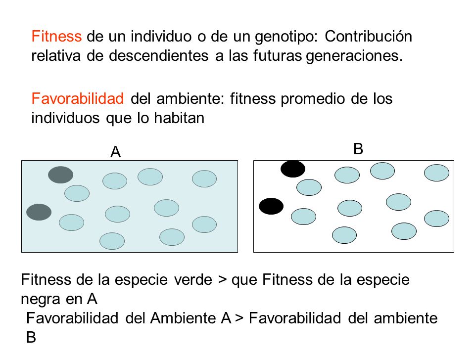 Fitness de un individuo o de un genotipo: Contribución relativa de descendientes a las futuras generaciones.