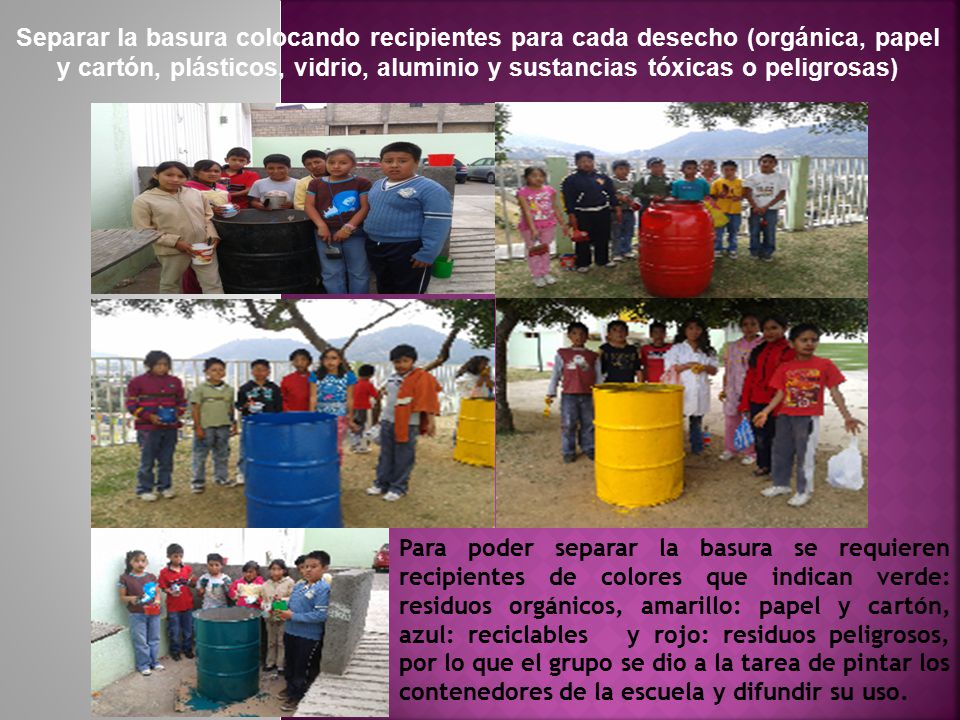 Separar la basura colocando recipientes para cada desecho (orgánica, papel y cartón, plásticos, vidrio, aluminio y sustancias tóxicas o peligrosas)
