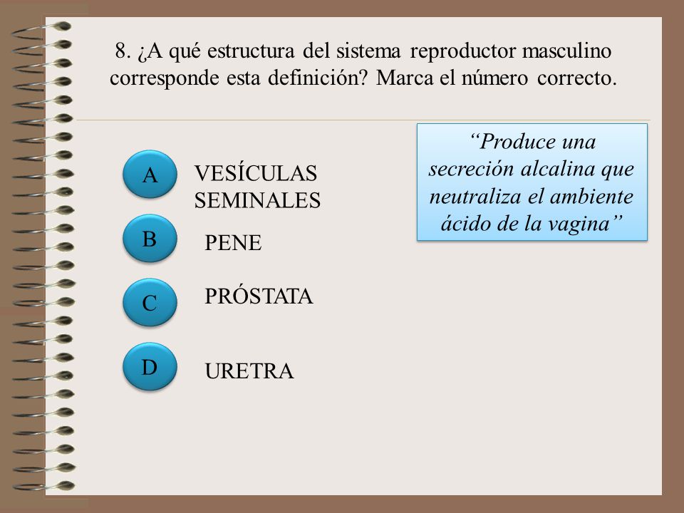 8. ¿A qué estructura del sistema reproductor masculino corresponde esta definición Marca el número correcto.
