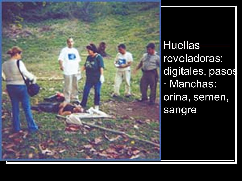 Huellas reveladoras: digitales, pasos · Manchas: orina, semen, sangre