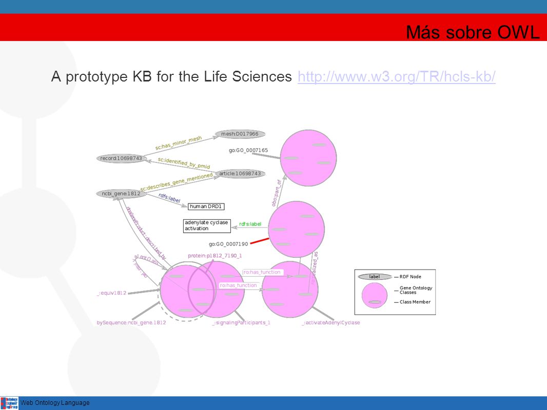 A prototype KB for the Life Sciences