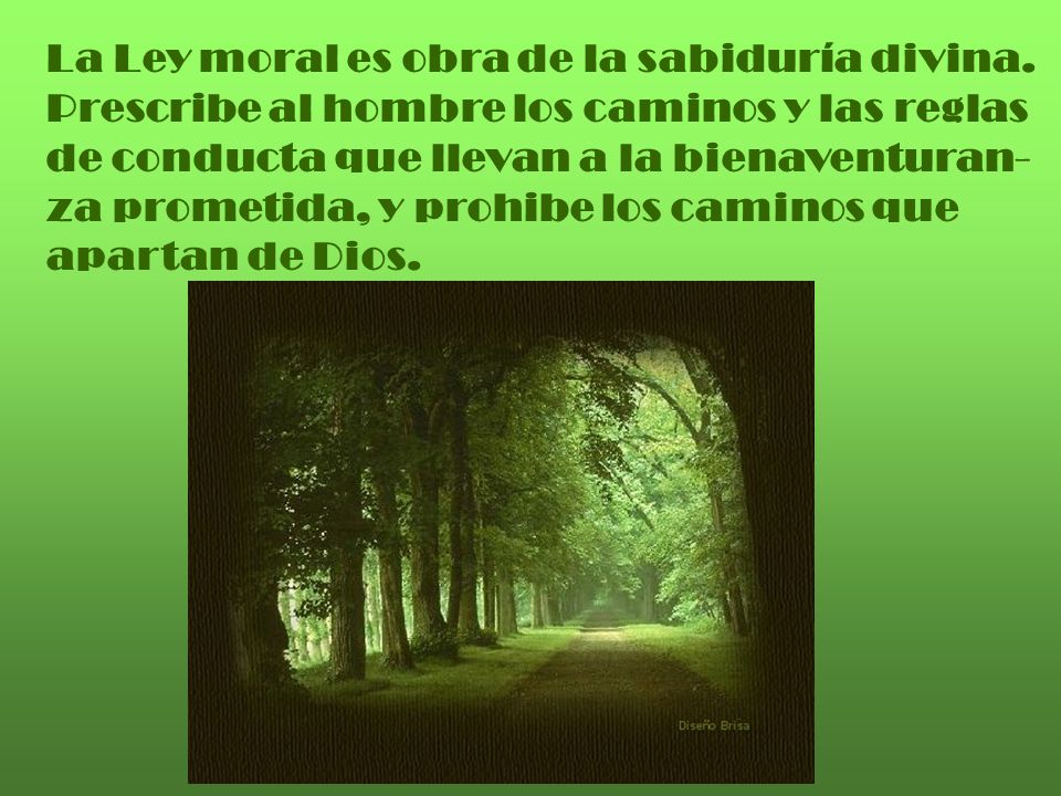 La Ley moral es obra de la sabiduría divina.