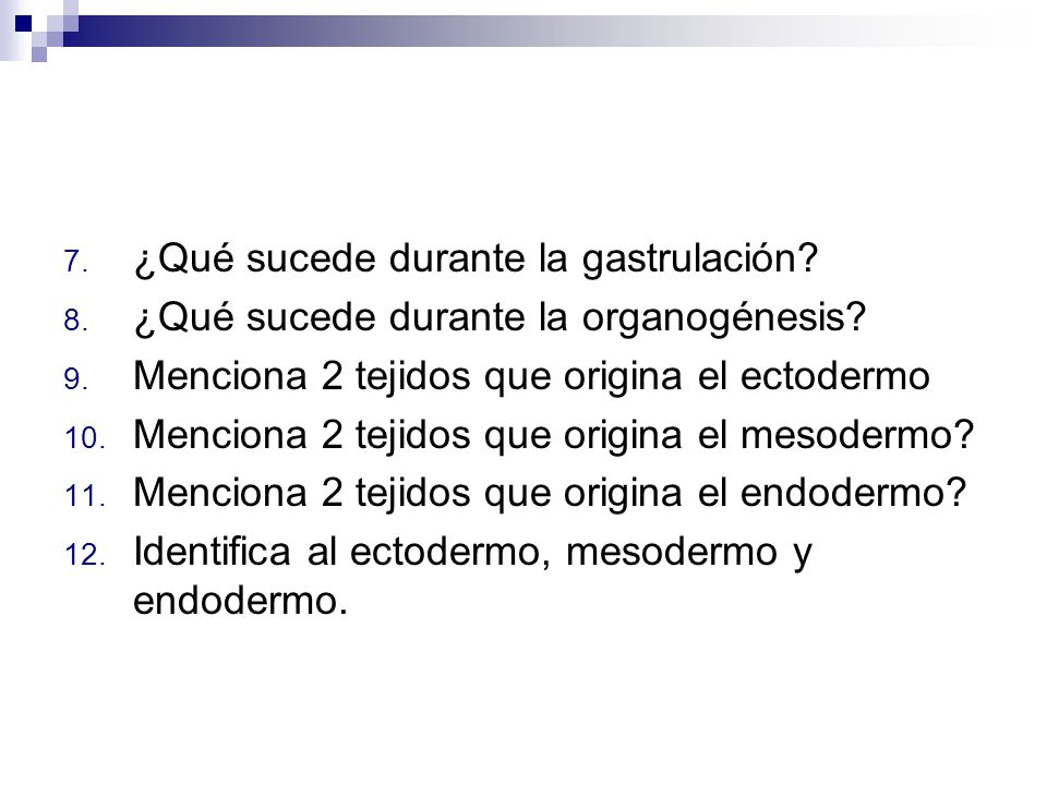 ¿Qué sucede durante la gastrulación