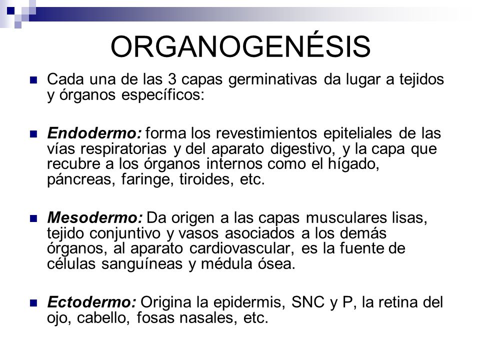 ORGANOGENÉSIS Cada una de las 3 capas germinativas da lugar a tejidos y órganos específicos: