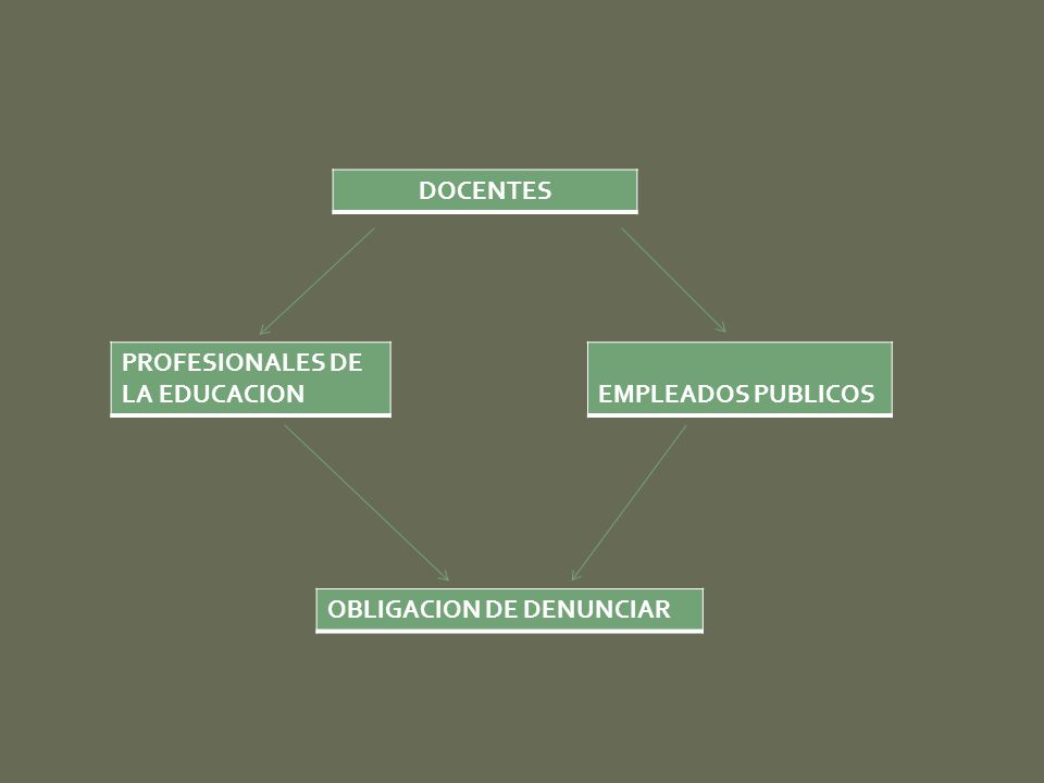 DOCENTES PROFESIONALES DE LA EDUCACION EMPLEADOS PUBLICOS OBLIGACION DE DENUNCIAR