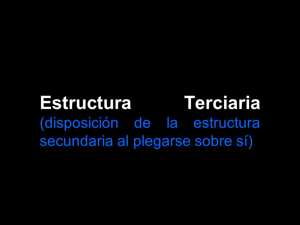 Estructura Terciaria (disposición de la estructura secundaria al plegarse sobre sí)