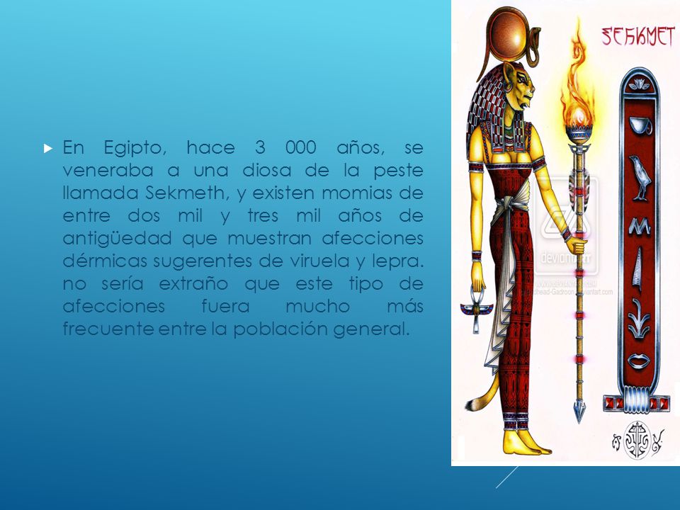 En Egipto, hace años, se veneraba a una diosa de la peste llamada Sekmeth, y existen momias de entre dos mil y tres mil años de antigüedad que muestran afecciones dérmicas sugerentes de viruela y lepra.