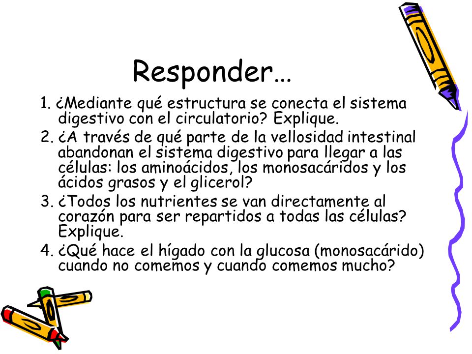 Responder… 1. ¿Mediante qué estructura se conecta el sistema digestivo con el circulatorio Explique.
