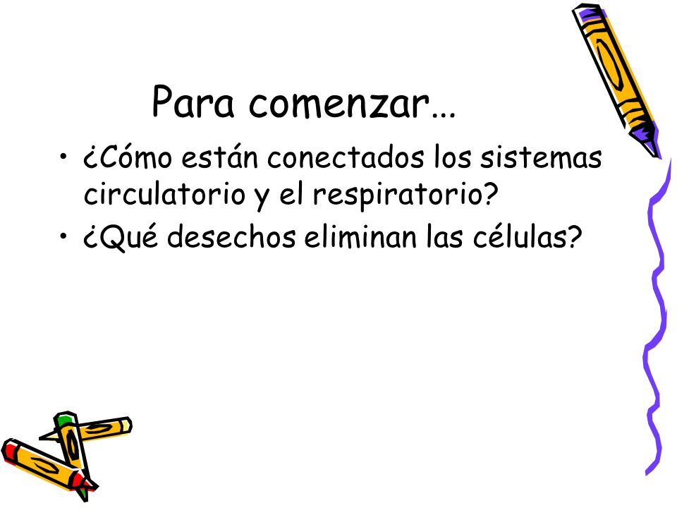 Para comenzar… ¿Cómo están conectados los sistemas circulatorio y el respiratorio.