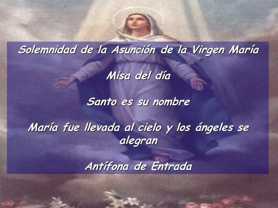 Solemnidad de la Asunción de la Virgen María Misa del día