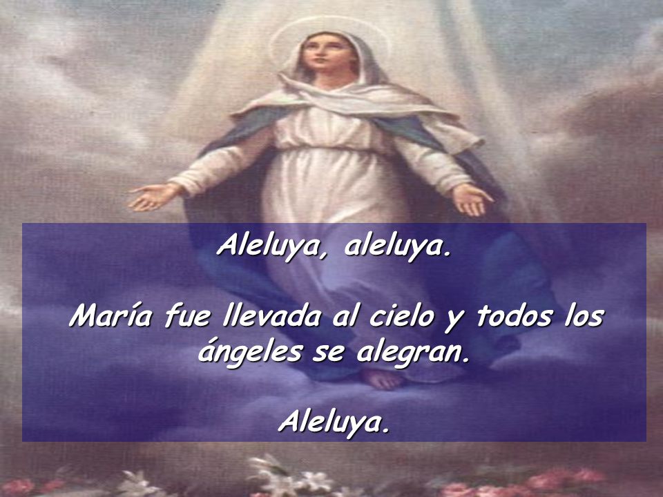 María fue llevada al cielo y todos los ángeles se alegran.
