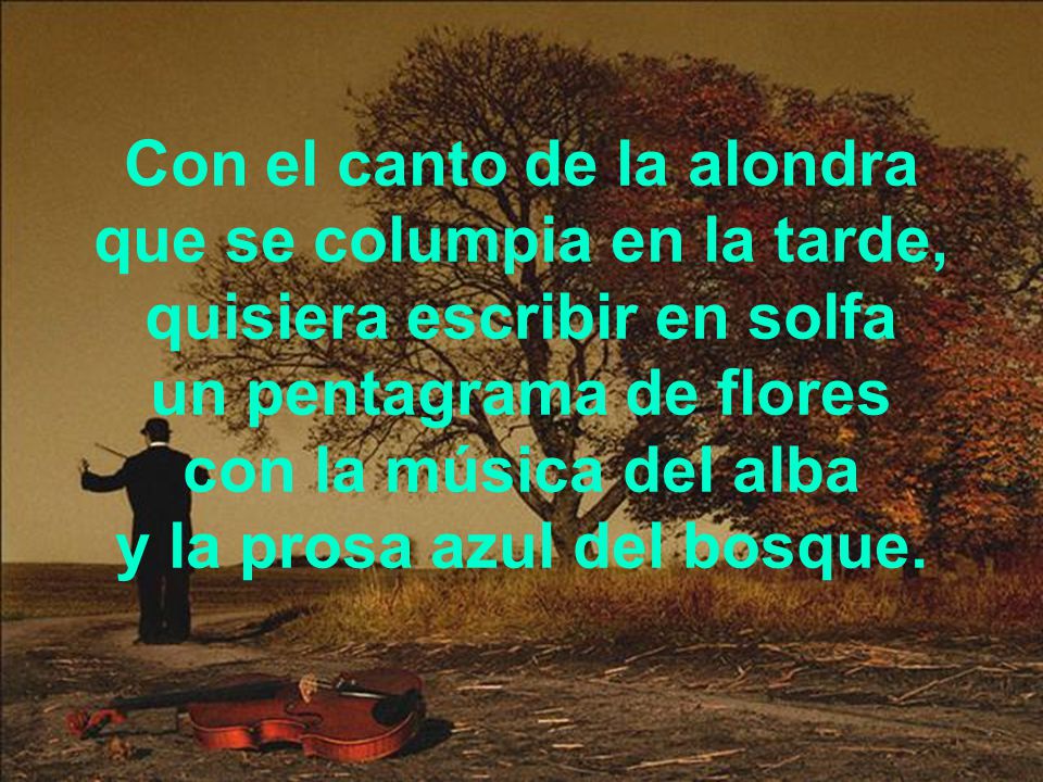 Con el canto de la alondra que se columpia en la tarde, quisiera escribir en solfa un pentagrama de flores con la música del alba y la prosa azul del bosque.