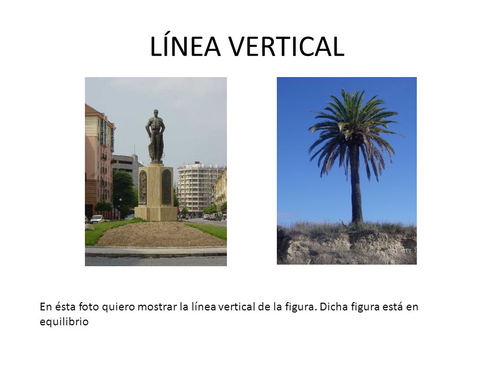 LÍNEA VERTICAL En ésta foto quiero mostrar la línea vertical de la figura.