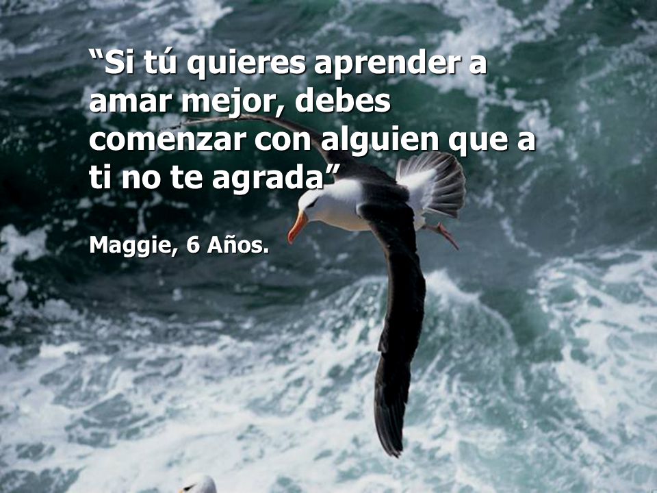Si tú quieres aprender a amar mejor, debes comenzar con alguien que a ti no te agrada